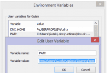 Environment Variables Windows