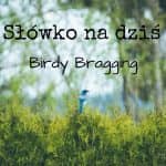 slowko-na-dzis-birdy-bragging-feature-tw
