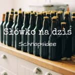 slowko-na-dzis-schnapsidee-feature-fb