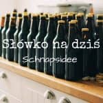 slowko-na-dzis-schnapsidee-feature-tw
