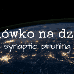 slowko-na-dzis-synaptic-pruning-feature-fb