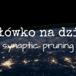 slowko-na-dzis-synaptic-pruning-feature-tw