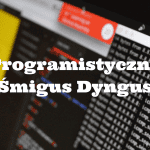 prgramistyczny-smigus-dygus-feature-tw