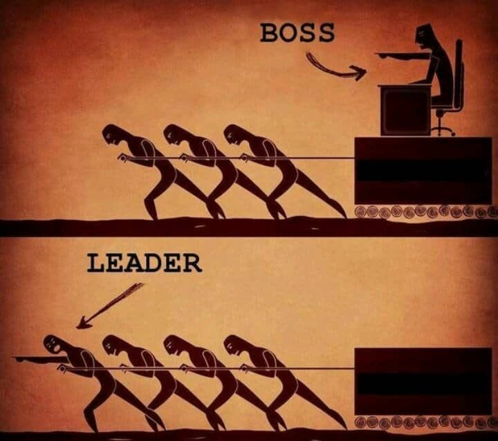 Boss vs Team Leader